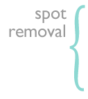 Rug Care & Cleaning - Spot Removal